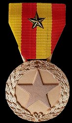 Medal with Bronze Star, Obverse