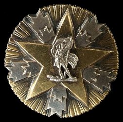 Order of Merit to the Nation with Gold Star, Obverse