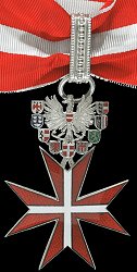 Class 5: Badge (Male), Obverse Class 5: Badge (Male), Obverse