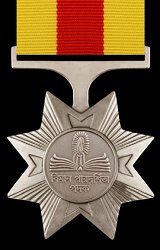 Air Force Efficiency Medal, Obverse Air Force Efficiency Medal, Obverse