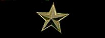 Bronze Star