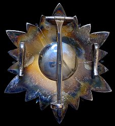 Grand Officer: Star, Reverse