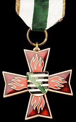 Fire Service Decoration on Ribbon Bronze, Obverse