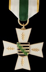 Rescue Service Decoration on Ribbon Gold, Obverse