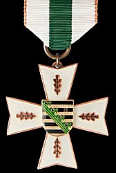 Rescue Service Decoration on Ribbon Bronze, Obverse