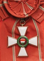 Class 1: Badge, Obverse Class 1: Badge, Obverse