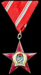 Medal of Merit in Gold, Obverse Medal of Merit in Gold, Obverse