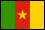 Flag of Cameroon