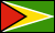 Guyana flag