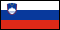 Slovenia flag