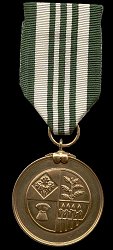 Medal, Obverse