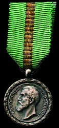 Silver Medal, Obverse