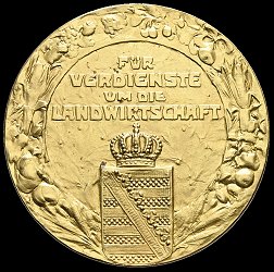 Gold Medal, Reverse