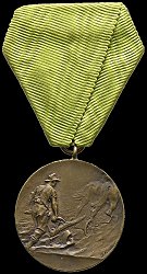 Bronze Medal, Obverse