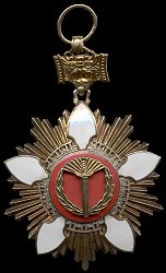 Tongil Medal (1st Class): Badge
