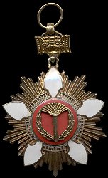 Tongil Medal (1st Class): Badge