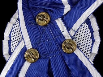 Presidential Medal of Freedom with Distinction: Sash, Reverse